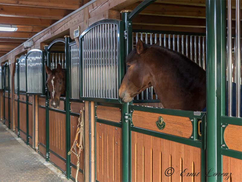 Röwer & Rüb News und Stories Klassische Reitkunst in der